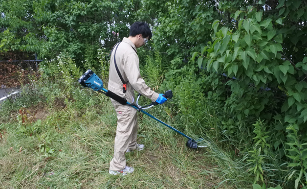 腰ほどの高さまで伸びてしまった草に