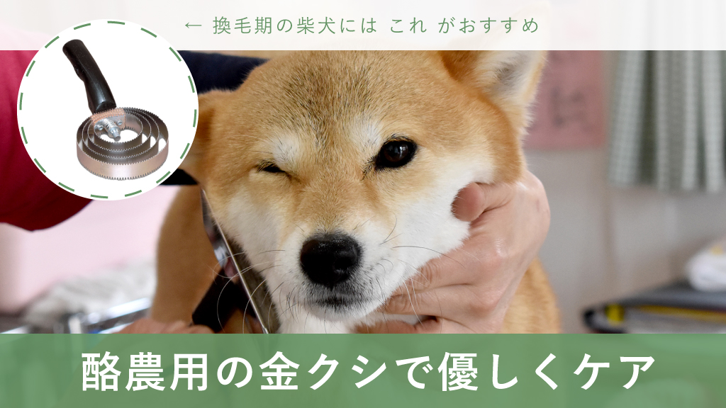 酪農用品 犬 クシ ワンちゃん ブラッシング