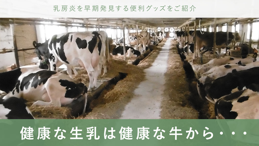 酪農 乳房炎 潜在型 臨床型 早期発見 治療 電気伝導度 分房間差 体細胞 炎症