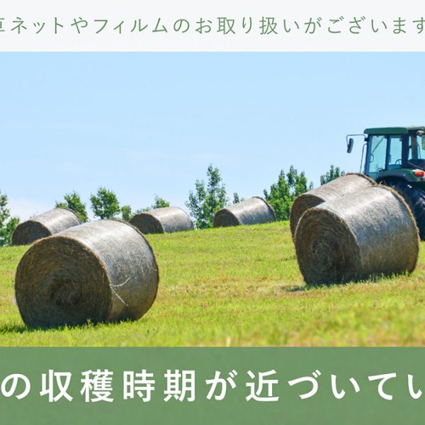 牧草の収穫時期迫る!