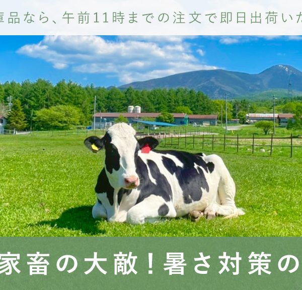 暑さは家畜の大敵！暑さ対策の重要性を解説