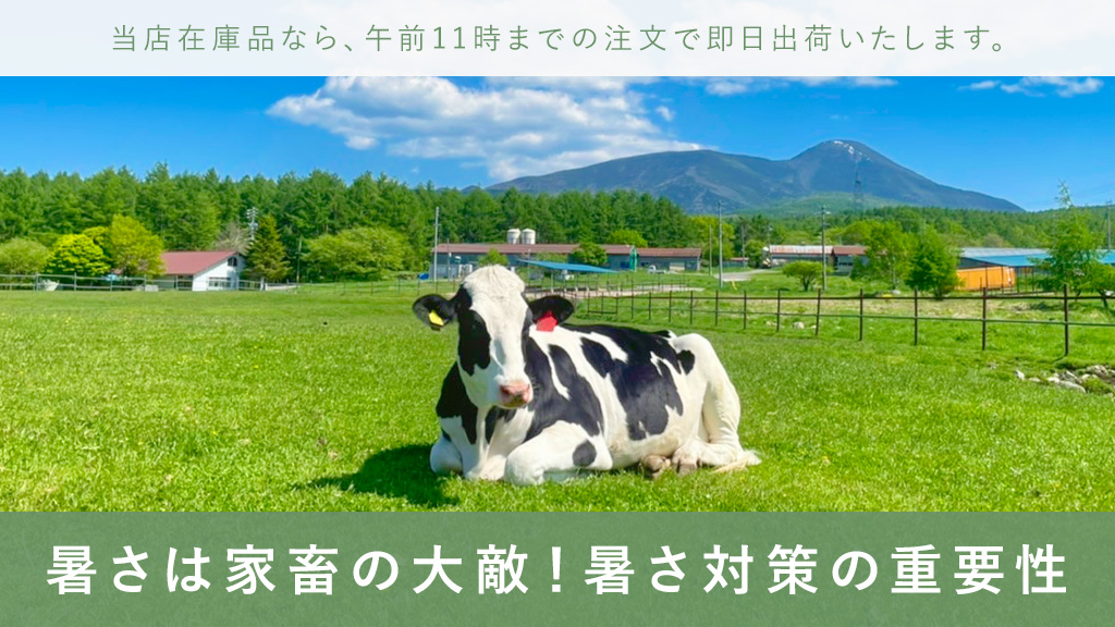 暑さ 暑熱 ストレス 家畜 夏 対策