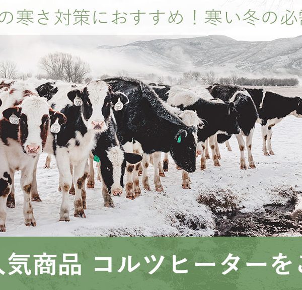 畜産用ヒーター は冬の必需品！牛や豚の寒さ対策に