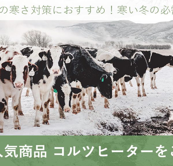 畜産用ヒーター は冬の必需品!牛や豚の寒さ対策に