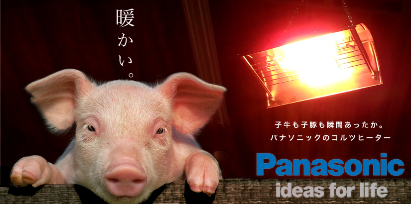 家畜用吊り下げ式ヒーター コルツヒーター ドつ物用吊り下げ式子豚 着付け