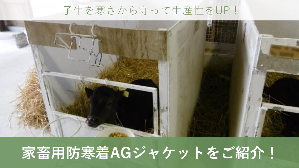 子牛 防寒着 AGジャケット 冬 寒冷ストレス 寒さ 対策