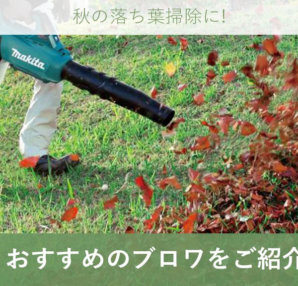 秋の落ち葉掃除におすすめのブロワをご紹介|マキタ 充電式 ブロワ(ブロア)