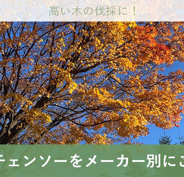 高い木の伐採に！高枝チェンソー（ポールチェンソー）をメーカー別にご紹介