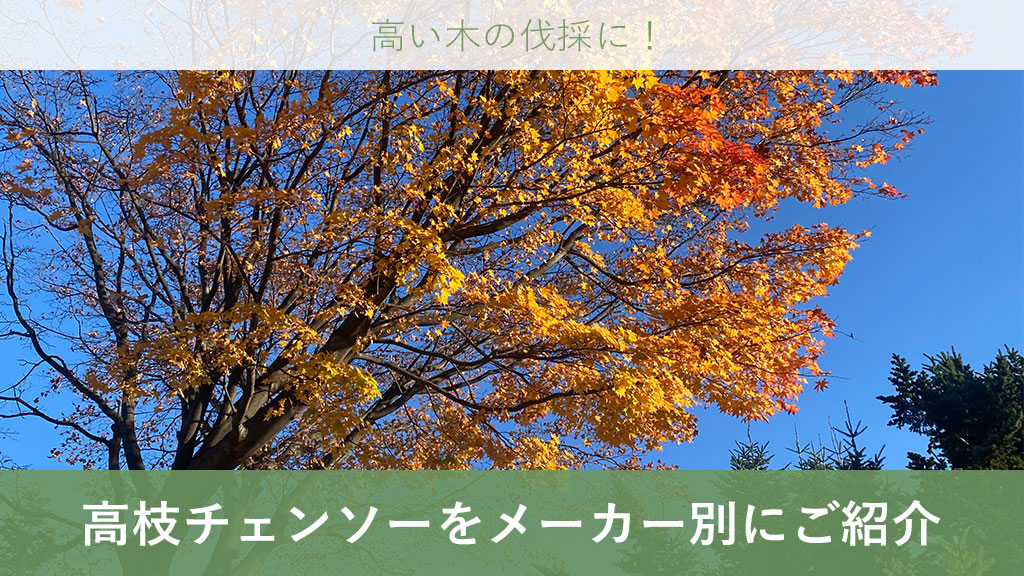 高枝チェンソー 高枝チェーンソー ポールソー プルーナ